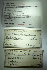 Cumberlandiana label