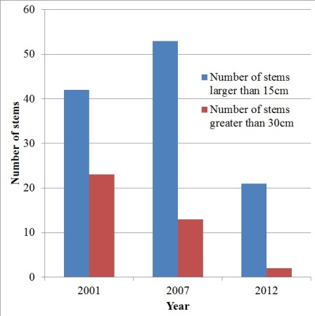 The number of large plants has decreased over time.