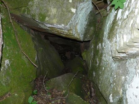 The young black vultures are just visible at the bottom of their rocky chute.