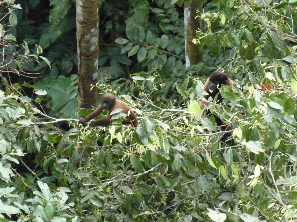 2014-09-02 Ecuador 252