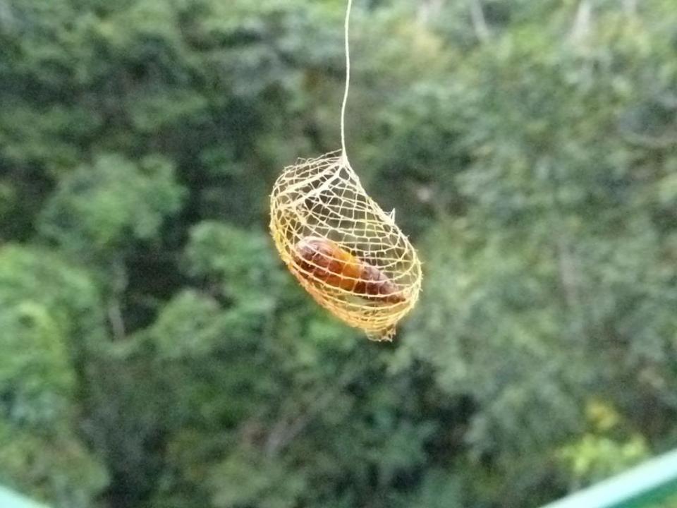 2014-09-02 Ecuador 373