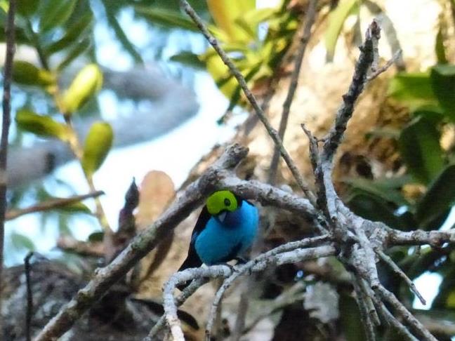 2014-09-03 Ecuador 363