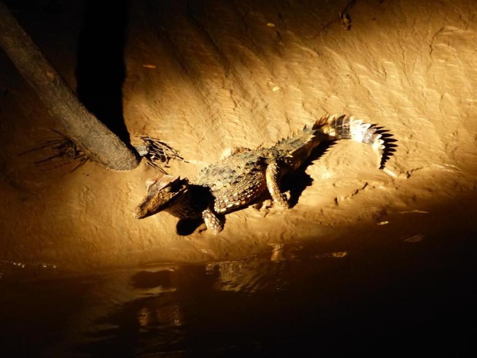 2014-09-03 Ecuador 403