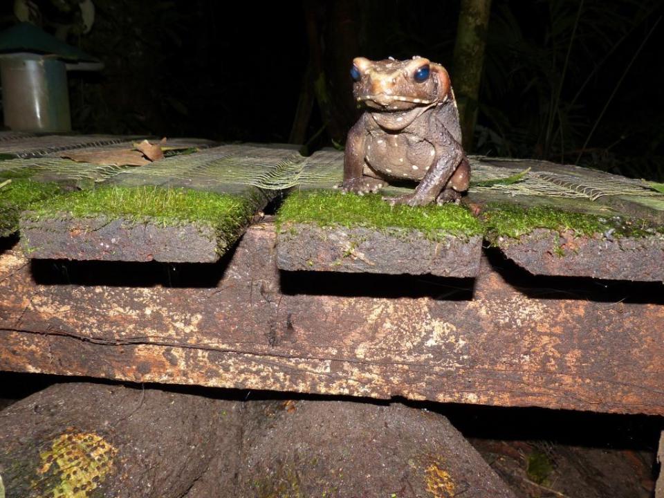 2014-09-04 Ecuador 130