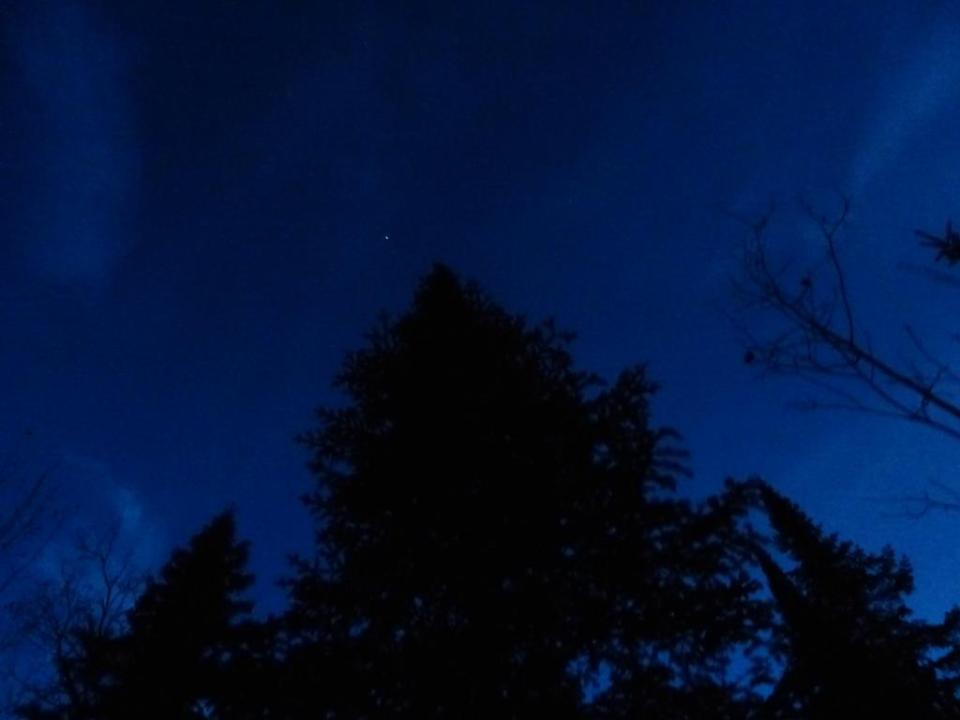 Fir at night