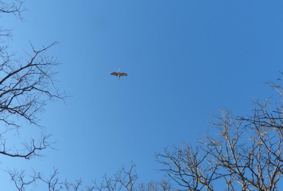 2015-01-16 Sandhills 028