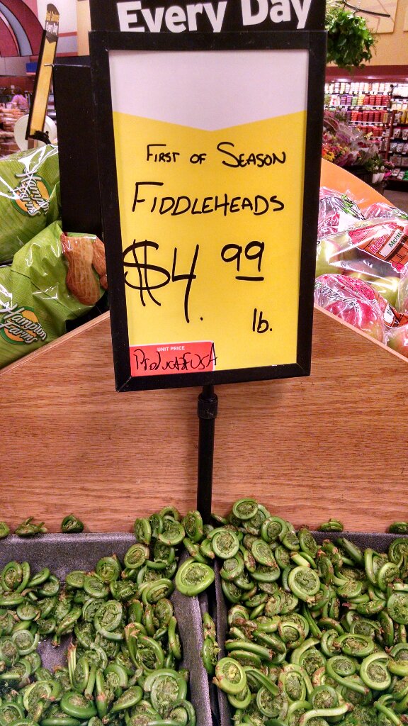 fiddleheadsHana