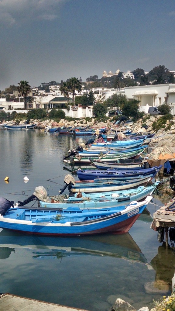 IMG_20160316_051453012_HDR