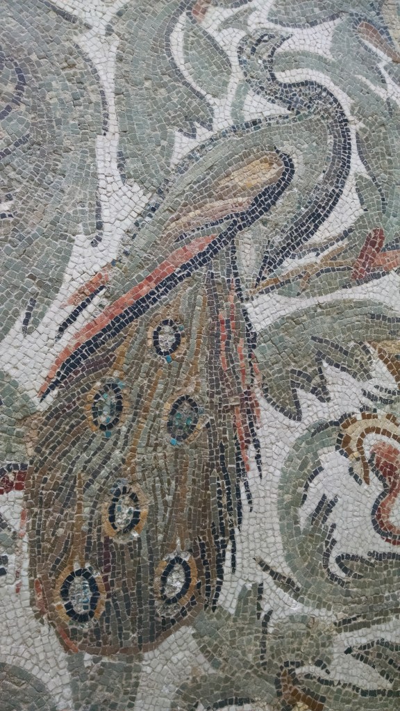 IMG_20160316_101602249