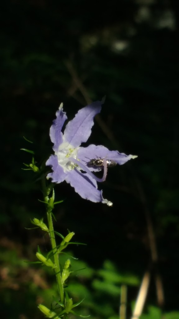 IMG_20160630_073433585