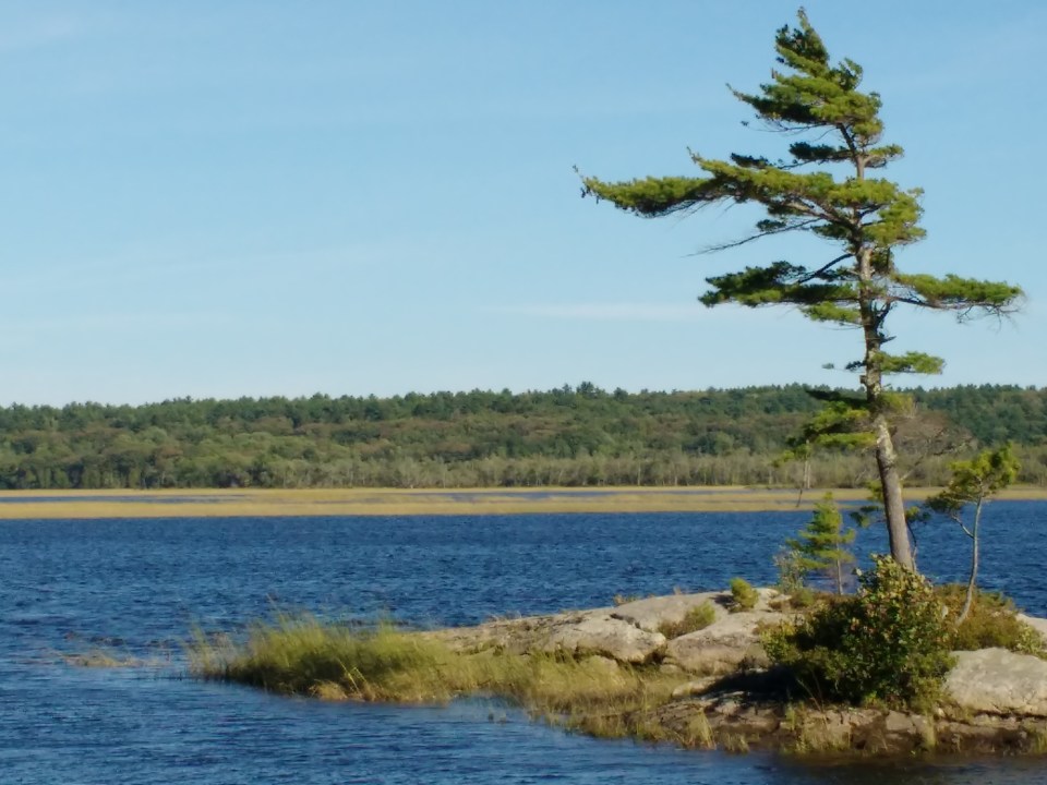 img_20160916_160519075