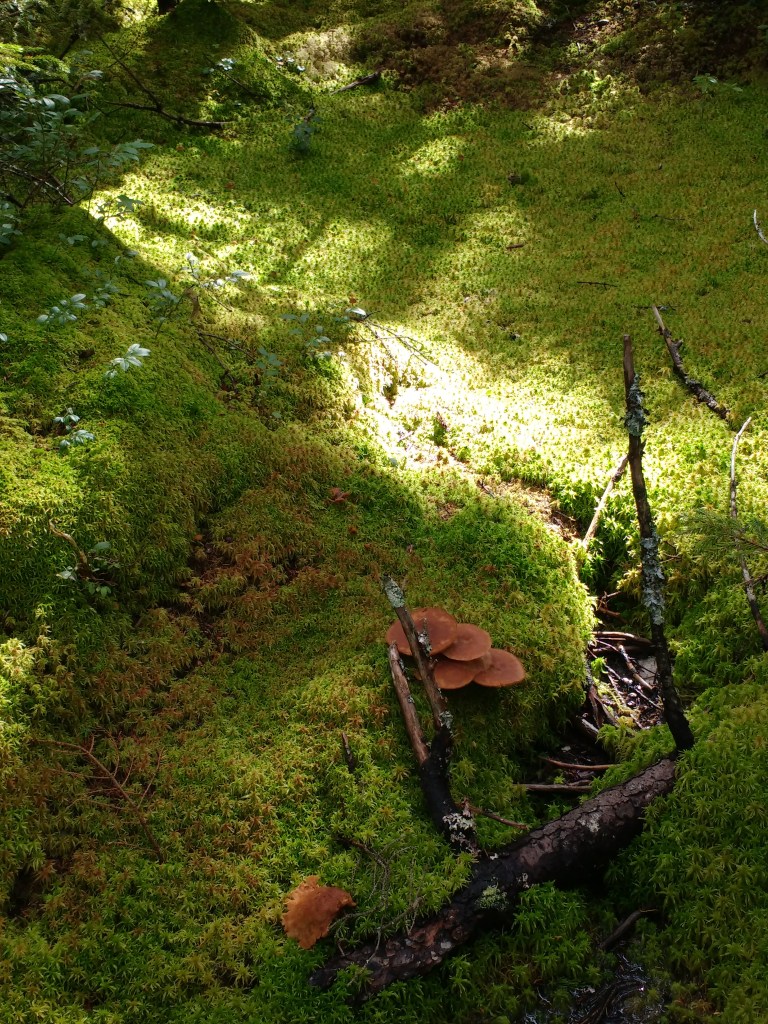 img_20160924_143105544