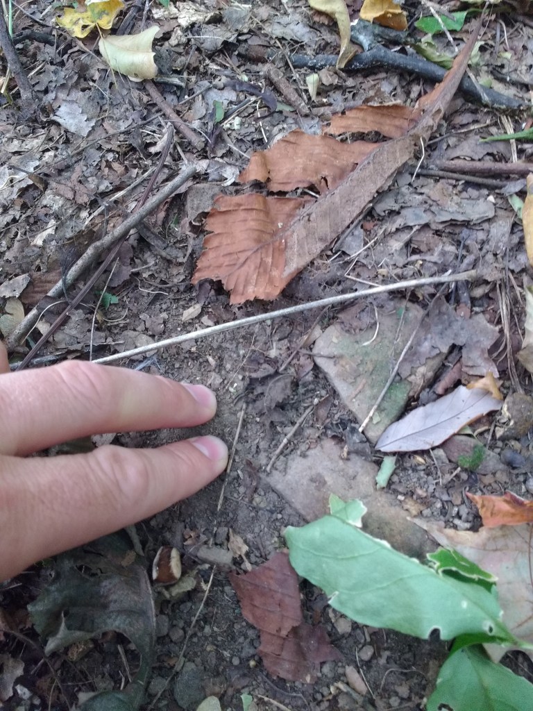 img_20161014_093105134