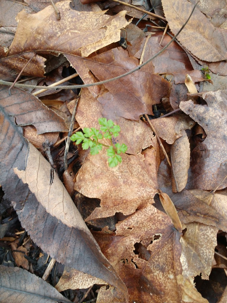 img_20170120_102555970