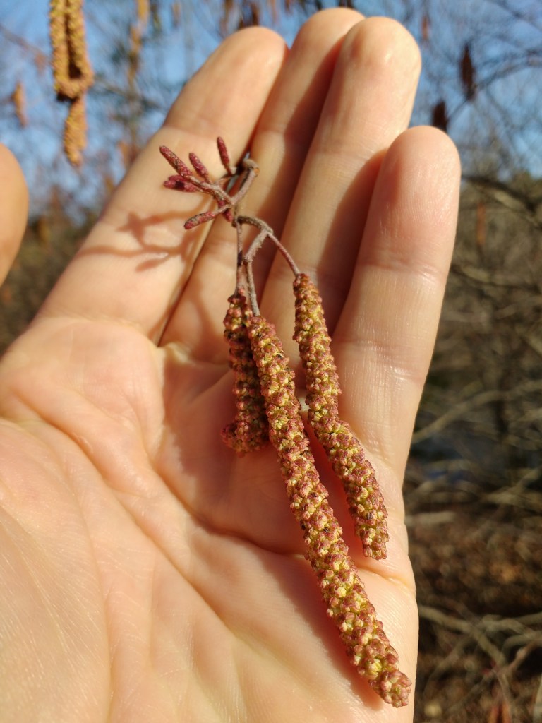 img_20170210_144912854